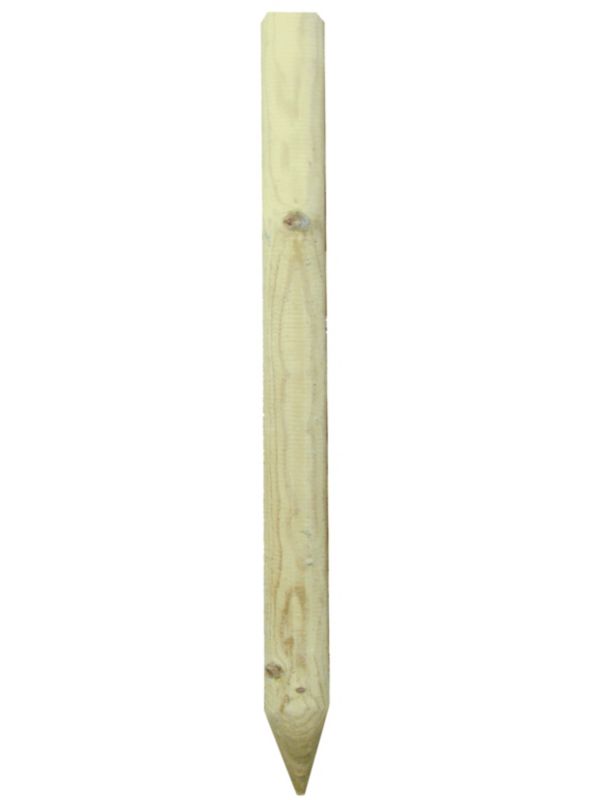 Palisada Blooma 7 x 200 cm