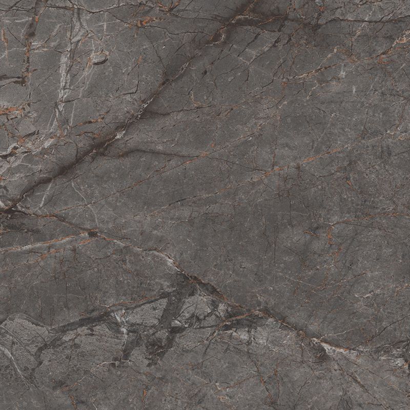 Gres mrozoodporny szkliwiony Darwin Egen 60 x 60 cm nero 1,44 m2