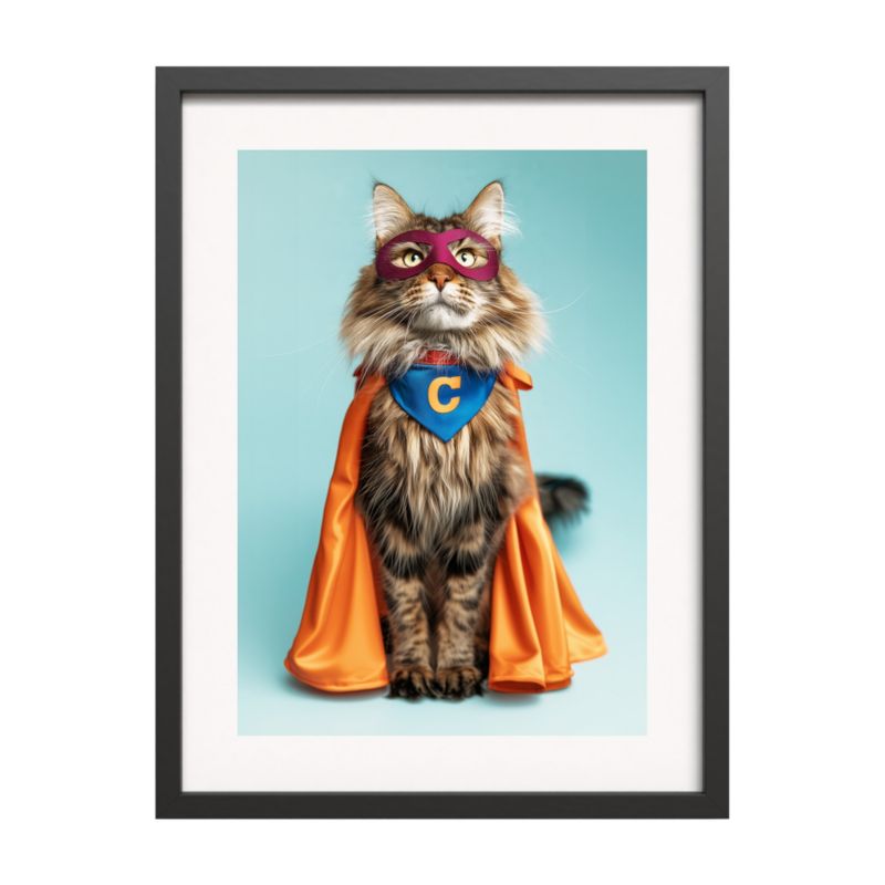Obraz z ramą Modernpik 30 x 40 cm supercat