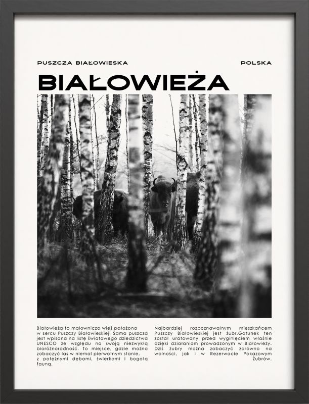 Obraz z ramą Modernpik 30 x 40 cm białowieża